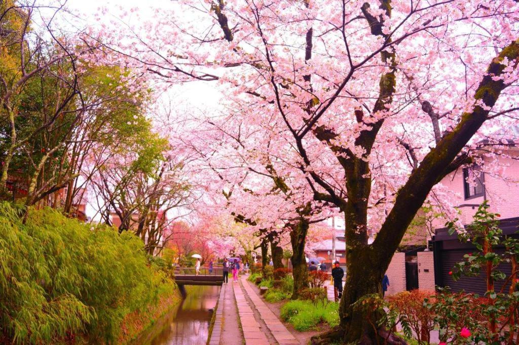 Four Points Flex By Sheraton Kyoto Oike Экстерьер фото